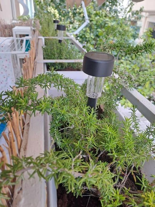 Apartament Δίπλα Στο Πάρκο Kalamata Zewnętrze zdjęcie
