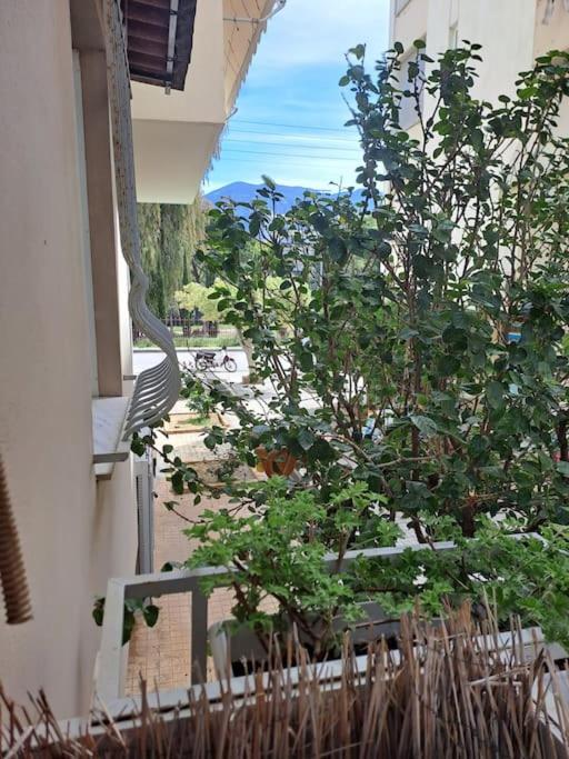 Apartament Δίπλα Στο Πάρκο Kalamata Zewnętrze zdjęcie